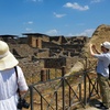 Image 3: Tour guidato di Pompei e il Monte Vesuvio con biglietti salta la fi...