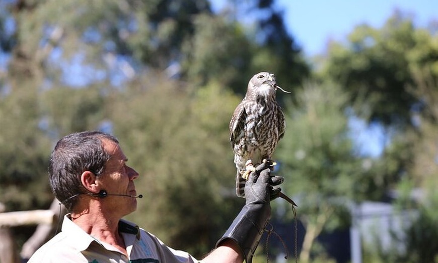 Image 5: 1 day Puffing Billy Steam Train and Wildlife Tour from Melbourne