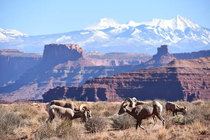 Arches and Canyonlands 4X4 Adventure from Moab