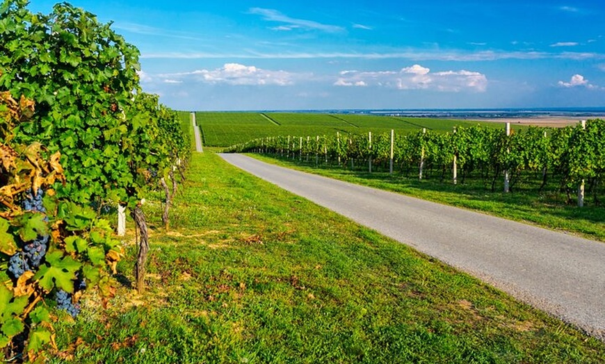 Image 5: Rallye Voiture Insolite sur la Route des Vins d'Alsace