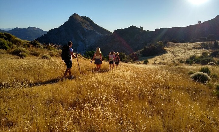 Image 37: NUEVO:Sunset Hike & Summit Sierra Nevada - Tour privado con cachorro