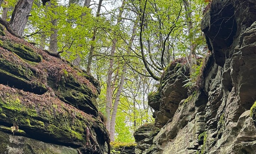 Image 10: Naturerlebnis Grüne Hölle mit köstlichem Überraschungsfinale
