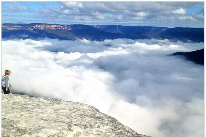 Exclusive Blue Mountains Wildlife and Bushwalk Tour From Sydney