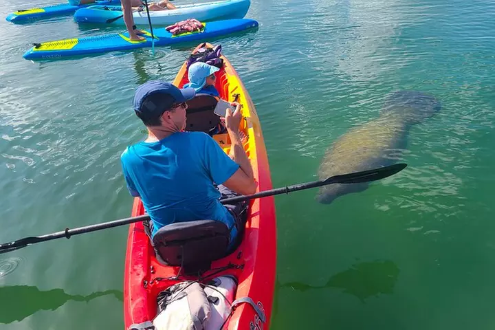 Mangroves, Manatees, and a Hidden Beach: Kayak Tour - Primary Image