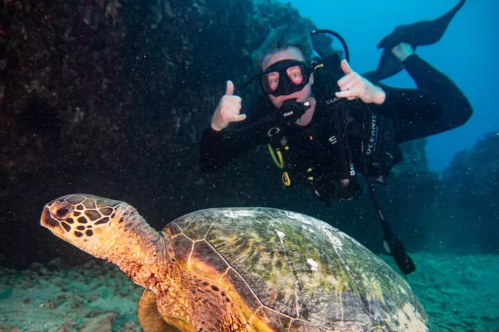 Small-Group Deep Dive in Oahu with Shipwreck and Reef