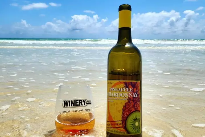 Winery Oeno Island Style Wine Tasting