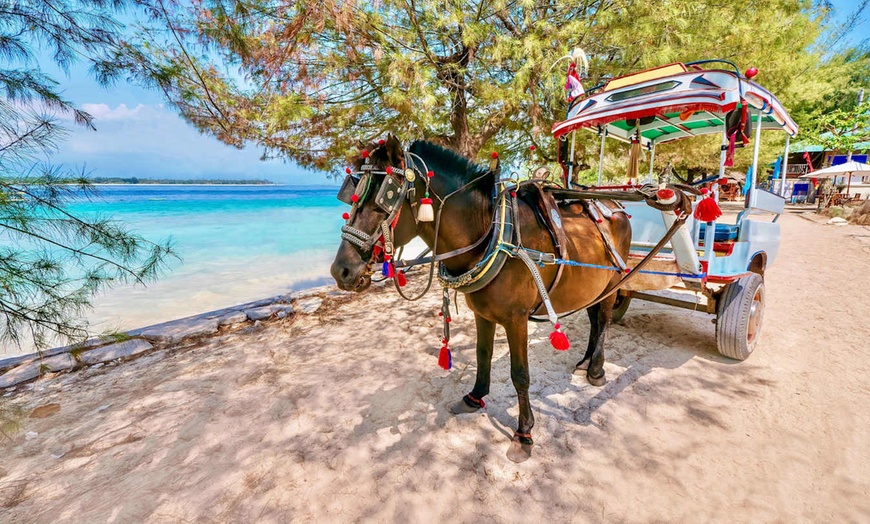 Image 15: ✈ INDONESIA | Bali e Gili Trawangan - Splendide evasioni da Bali al...