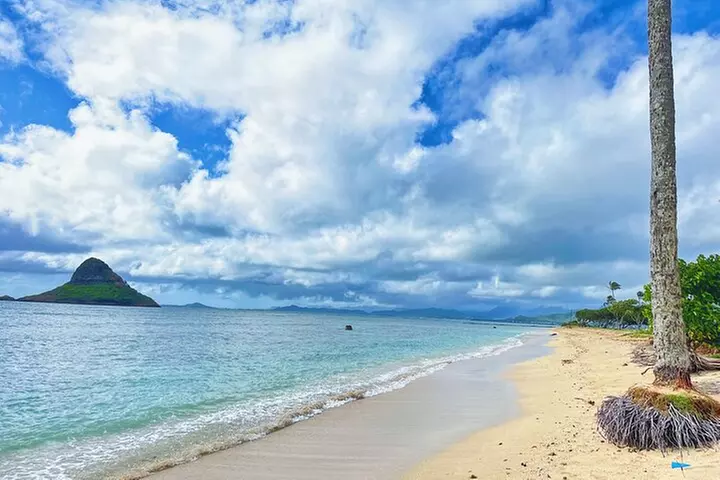 Diamond Head Hiking and Oahu Island Experience feat. North Shore