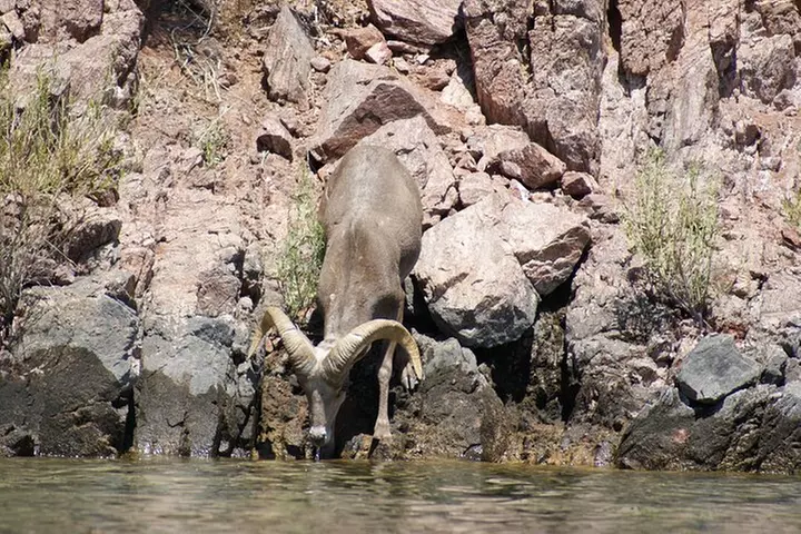 Emerald Cave Kayak Tour with Lunch & Las Vegas Shuttle Option