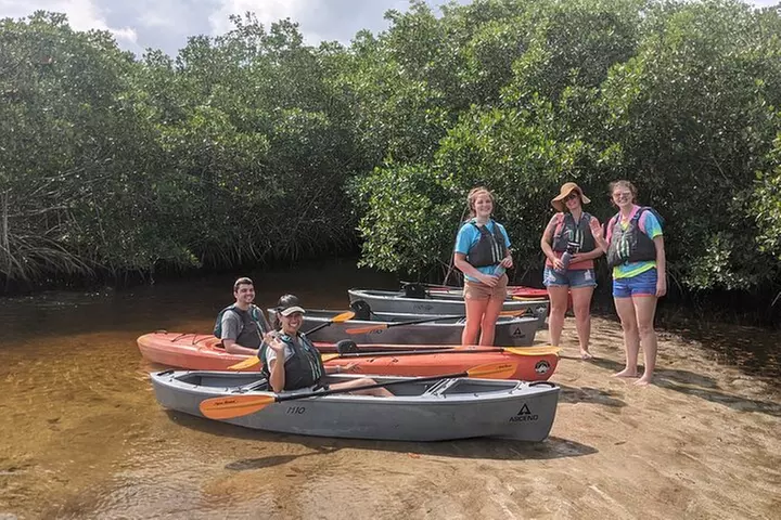 Manatees and Mangrove Tunnels Small Group Kayak Tour