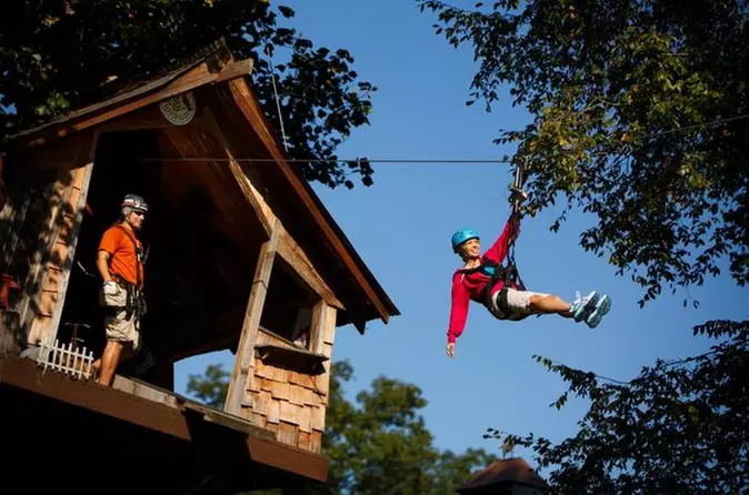 Waterfall Canopy Zip Line Tour plus Activity Pass at Foxfire Mountain Adventure Park - Primary Image