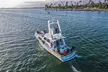 Private Luxury Whale Watching Tour in San Diego - Second Medium