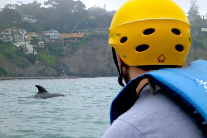 La Jolla Sea Caves Kayak Tour For Two (Tandem Kayak)