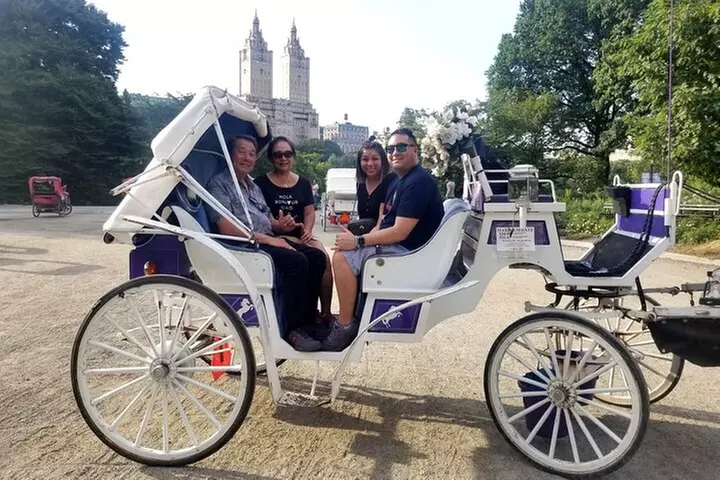 Private NYC Central Park Horse Carriage Ride (Guided) Since 1965™