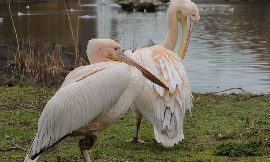 Image 4: Discover the Secrets of Whitehall