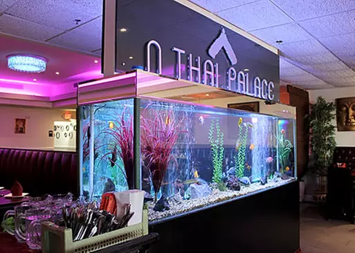 5% Cash Back at N Thai Palace