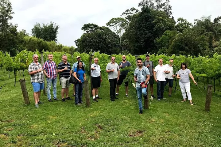 Barefoot Luxury Mount Tamborine Winery Tour from Gold Coast