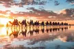 1 Hour Broome Sunset Camel Tour - Image 6