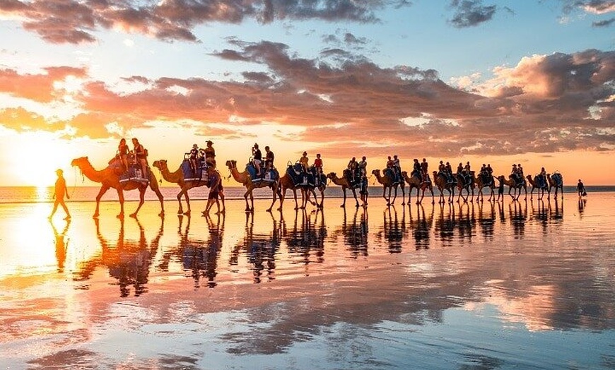 Image 6: 1 Hour Broome Sunset Camel Tour