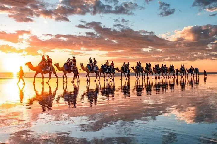 1 Hour Broome Sunset Camel Tour