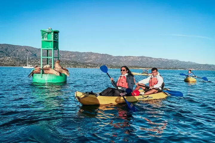 Wildlife Kayak Tour in Santa Barbara Harbor (2 Hours) - Primary Image