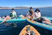 Lake Mead Stand-Up Paddleboard Tour—Explore Boulder Island - Second Medium