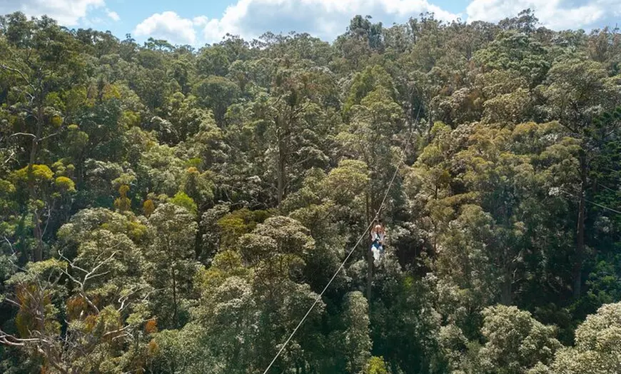 Image 7: Gold Coast Canyon Flyer Zipline Tour