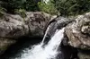 From San Juan: El Yunque Rainforest Hiking Adventure