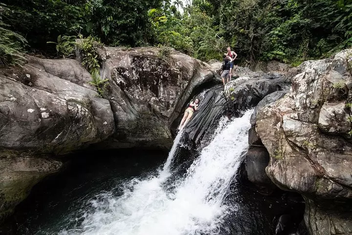 From San Juan: El Yunque Rainforest Hiking Adventure - Primary Image