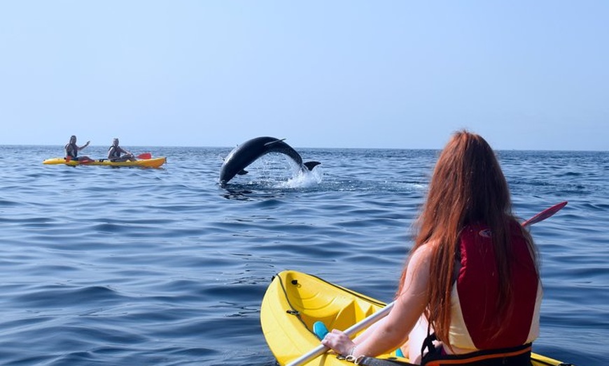 Image 5: Kayak con delfines y tortugas y esnórquel en Tenerife