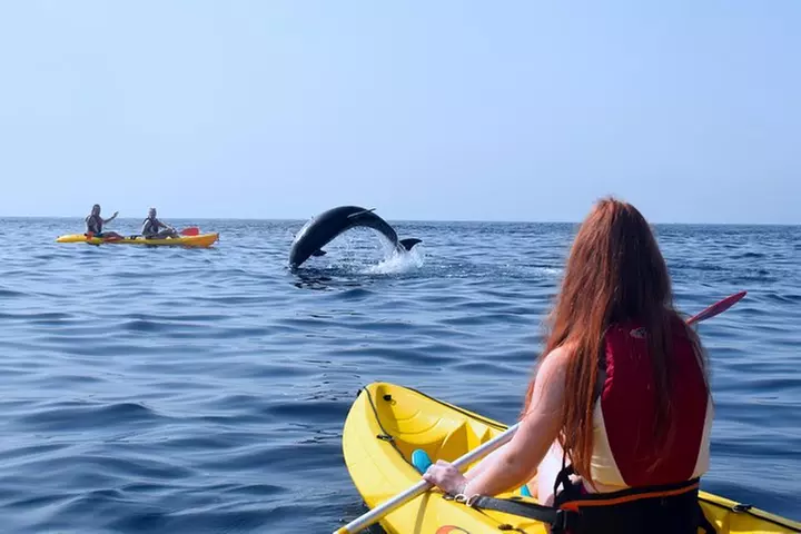 Tenerife : Tour en Kayak Tortuga & Delfines con Snorkel & Traje de ...