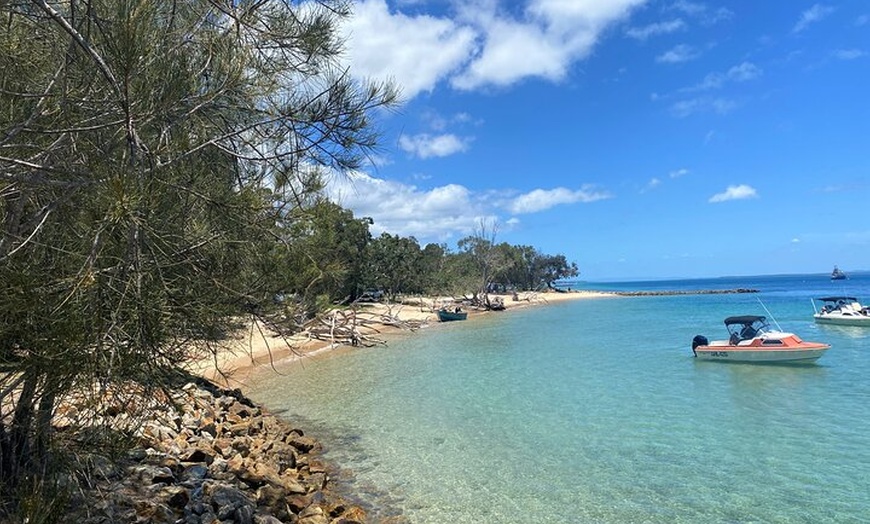 Image 11: North Stradbroke Island WILDLIFE Adventure Tour from Brisbane