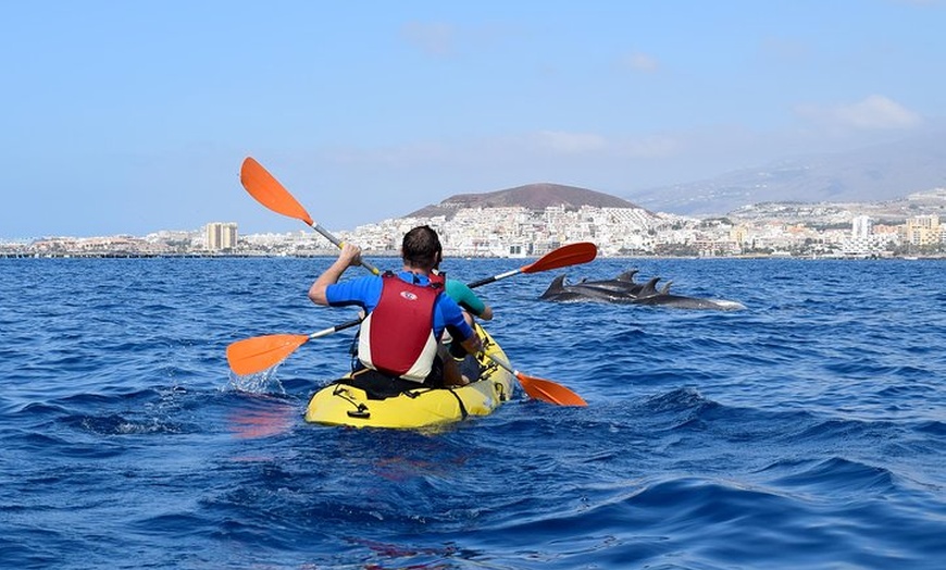 Image 12: Kayak con delfines y tortugas y esnórquel en Tenerife