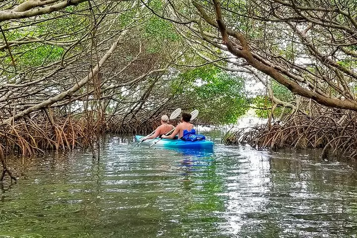 Kayak Adventure of Shell Key Preserve & Island with a Local