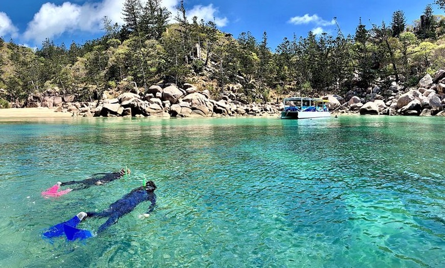 Image 2: Aquascene Magnetic Island Discovery Tour