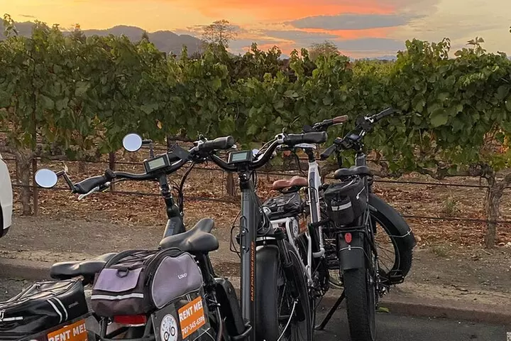 Full Day E-Bike Rental
