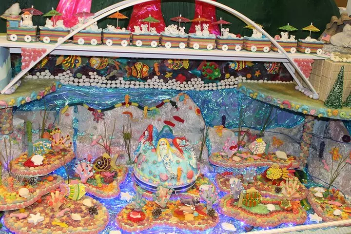 Christmas Lights and Snowflake Lane photo tour