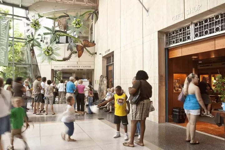 Houston Museum of Natural Science Planetarium Admission - Second Medium