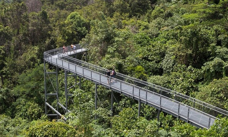 Image 3: Mt Tamborine And Glow Worm Day Tour