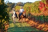 Guided Horseback Tour only 30 mins from Sedona.