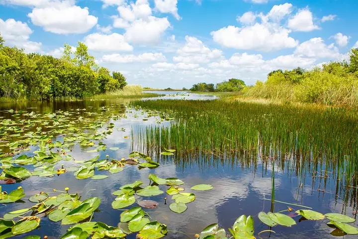 Florida Everglades Airboat Adventure plus Miami Biscayne Bay Cruise