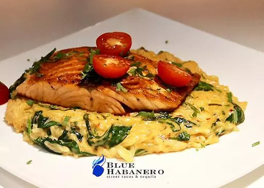 5% Cash Back at Blue Habanero - Primary Image
