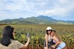 North Shore Dole Pineapple Farm Tour and Exclusive Oahu Day Tour - Second Medium