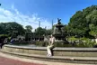NYC Beginner Private Birdwatching Tour - Second Medium