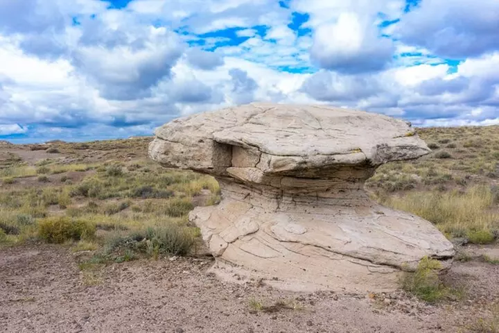 Petrified Forest National Park Self-Guided Driving Audio Tour