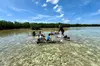 Guided Clear Kayak Eco-Tour Near Key West