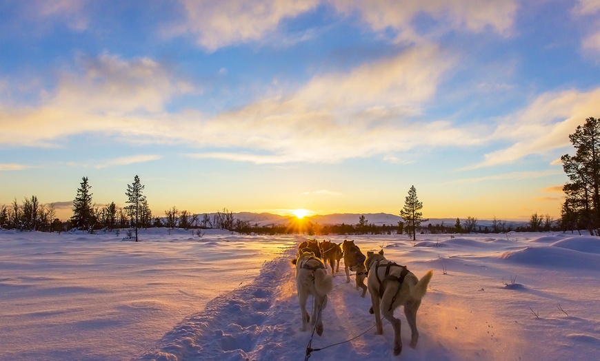 Image 6: ✈ LAPONIE | Kittilä - Essentiel de la Laponie 4* - Accès spa inclus