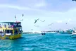 Destin Harbor Boat Ride and Dolphin Watching on the Hopper - Second Medium