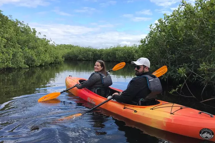 Manatees and Mangrove Tunnels Small Group Kayak Tour