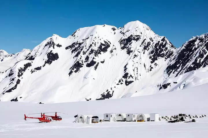 Summer Glacier Dogsledding Tour from Girdwood
